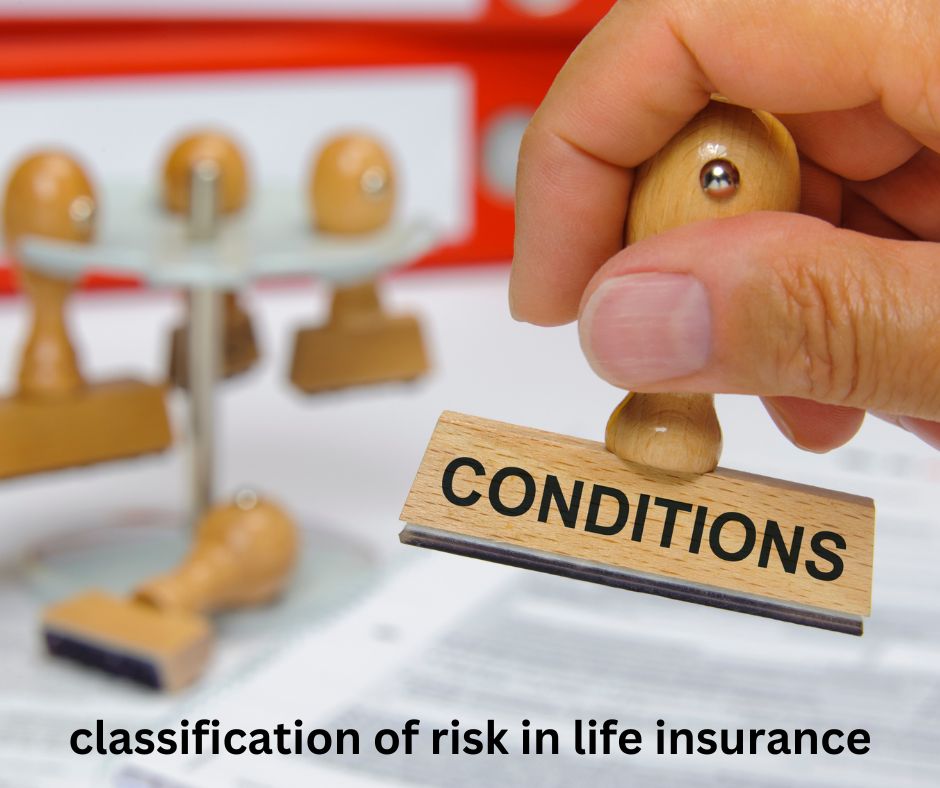 Best Life insurance for undocumented immigrants