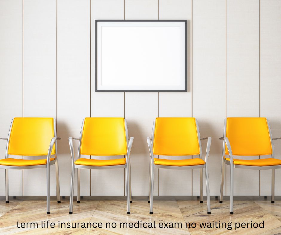 US Life insurance for non-permanent residents
